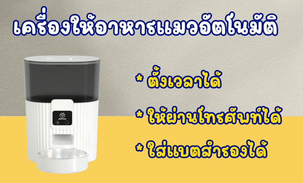 เครื่องให้อาหารแมว